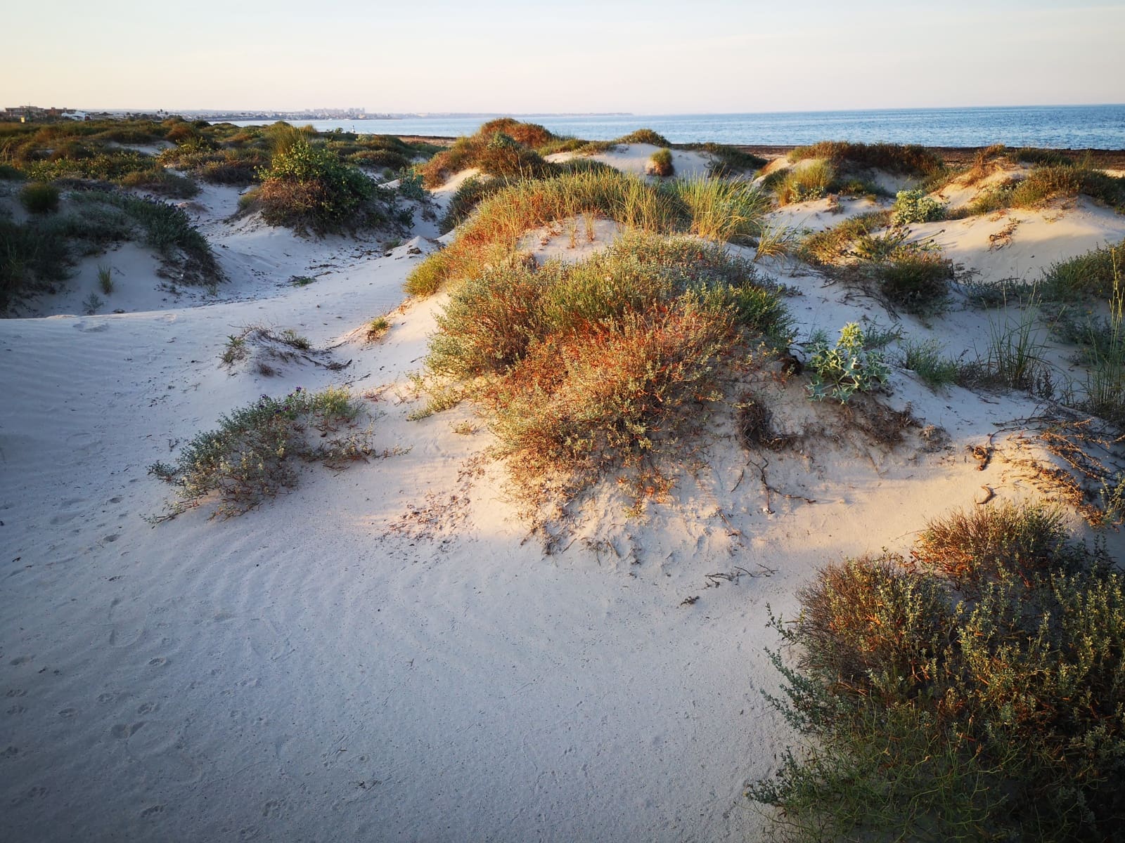 3 slaapkamer Halfvrijstaande villa te koop in San Pedro del Pinatar met garage - € 245.000 (Ref: 8980507)