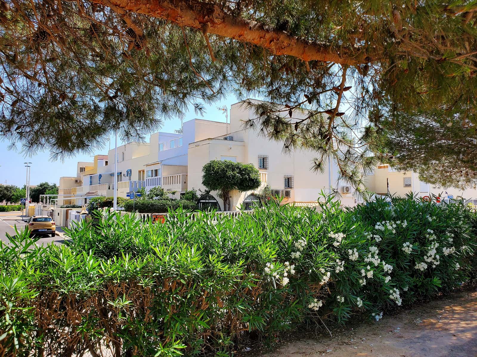 3 sypialnia Dom blizniak na sprzedaż w San Pedro del Pinatar z garażem - 255 000 € (Ref: 8980507)