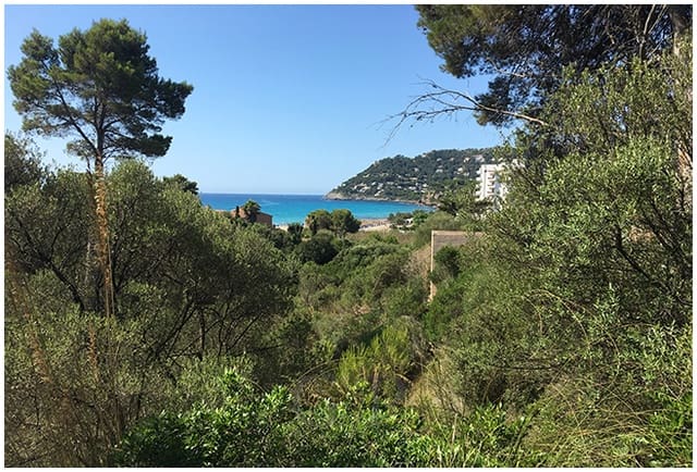 Terreno Non Edificato in vendita in Capdepera - 365.000 € (Rif: 10148016)