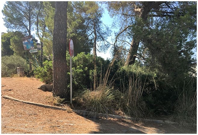 Terreno/Finca Rústica en Capdepera en venta - 365.000 € (Ref: 10148016)