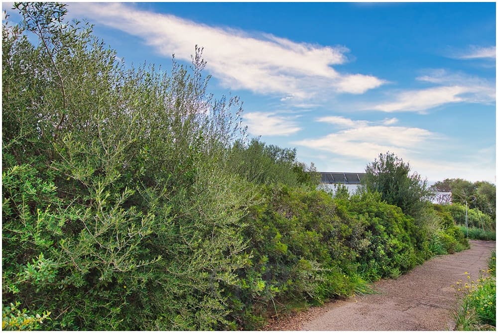 Undeveloped Land for sale in Cala Mandia - € 389,000 (Ref: 9552279)