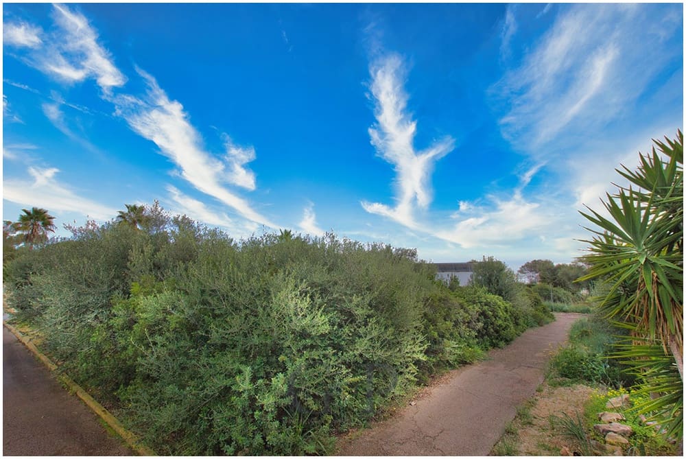 Undeveloped Land for sale in Cala Mandia - € 389,000 (Ref: 9552279)