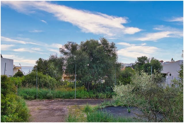 Rakentamaton maa myytävänä paikassa Cala Mandia, Manacor - 389 000 € (Ref: 9552279)