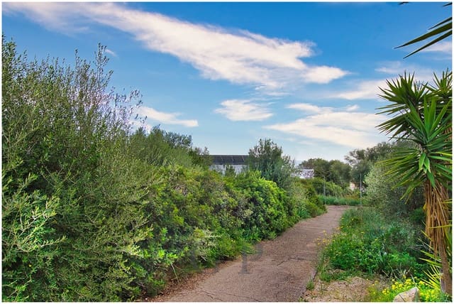 Rakentamaton maa myytävänä paikassa Cala Mandia, Manacor - 389 000 € (Ref: 9552279)