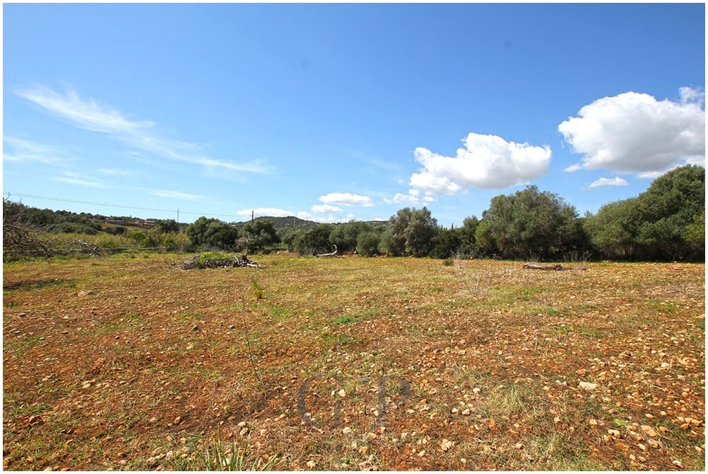 Terre non Aménagée à vendre à Sant Llorenc des Cardassar - 340 000 € (Ref: 9626543)