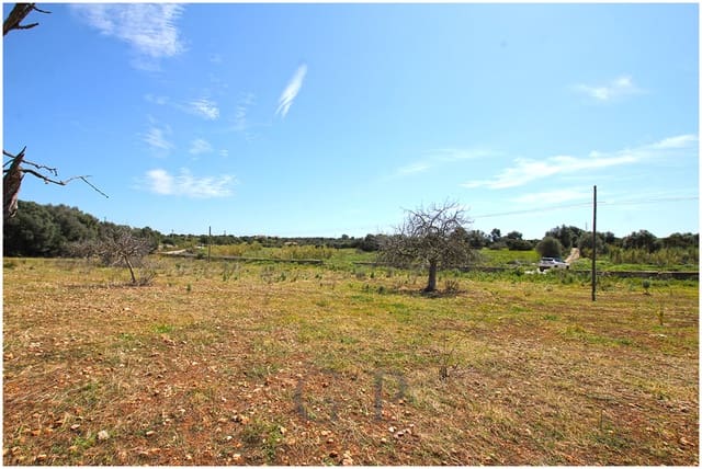 Terre non Aménagée à vendre à Sant Llorenç des Cardassar - 340 000 € (Ref: 9626543)