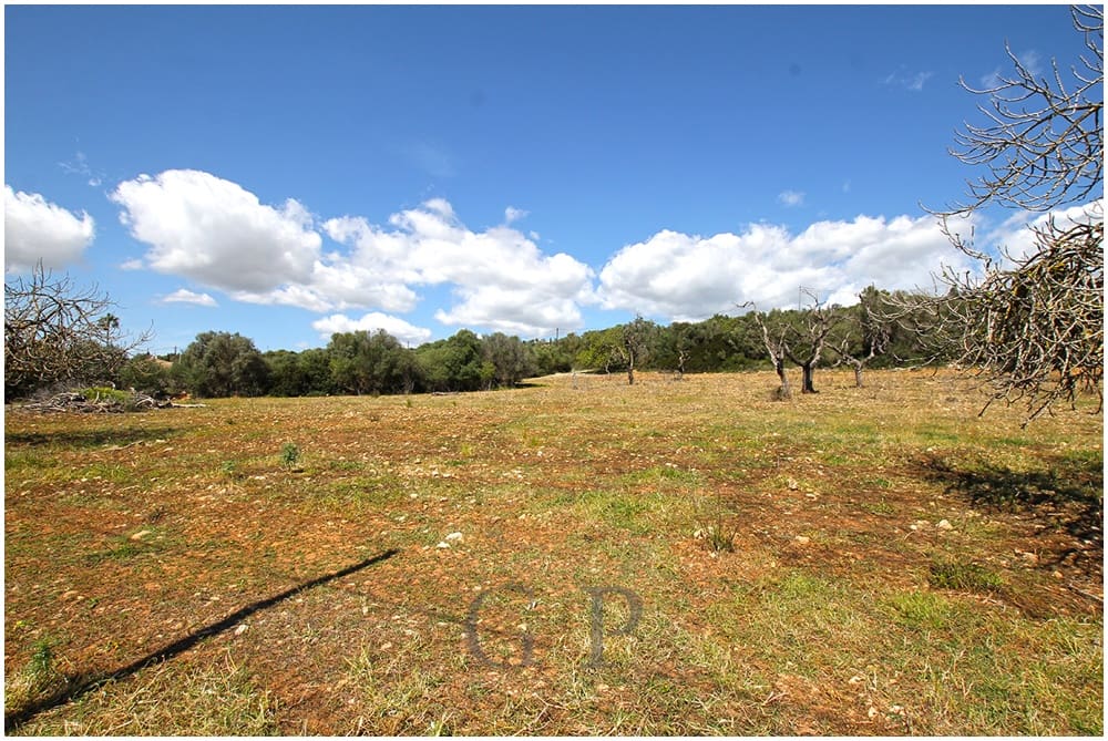 Terre non Aménagée à vendre à Sant Llorenc des Cardassar - 340 000 € (Ref: 9626543)