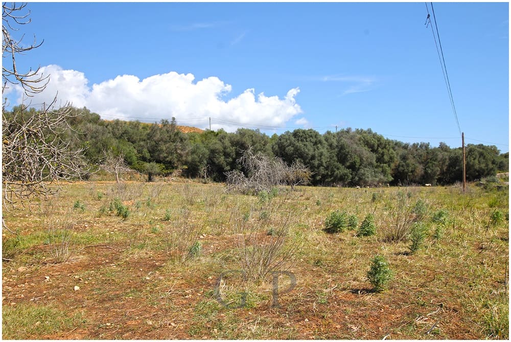 Terre non Aménagée à vendre à Sant Llorenc des Cardassar - 340 000 € (Ref: 9626543)