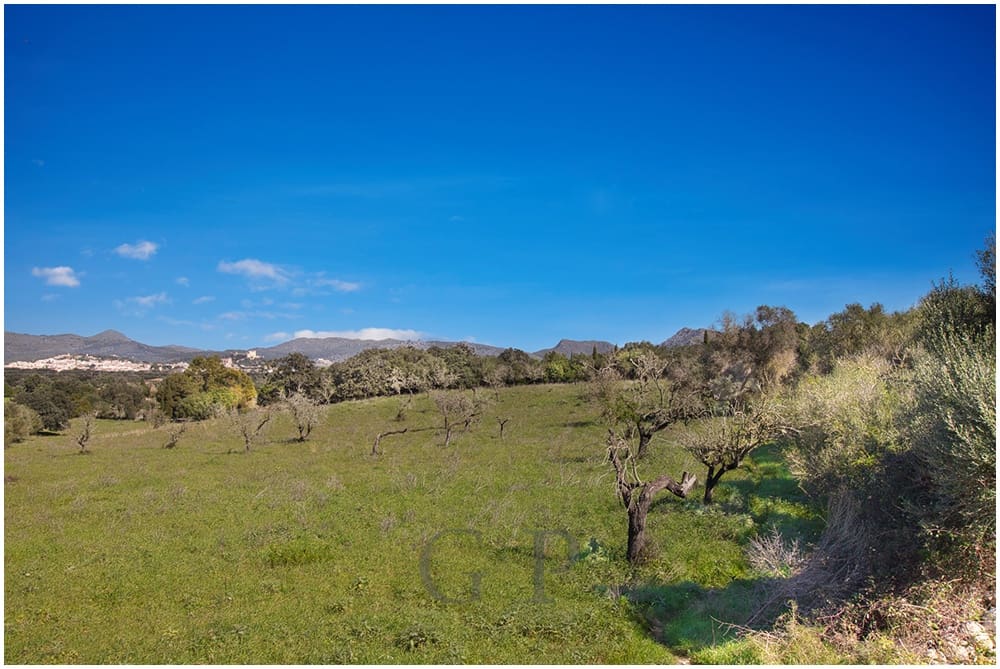 Teren niezagospodarowany na sprzedaż w Arta - 825 000 € (Ref: 9649834)