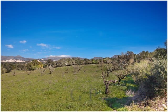 Teren niezagospodarowany na sprzedaż w Artà - 825 000 € (Ref: 9649834)