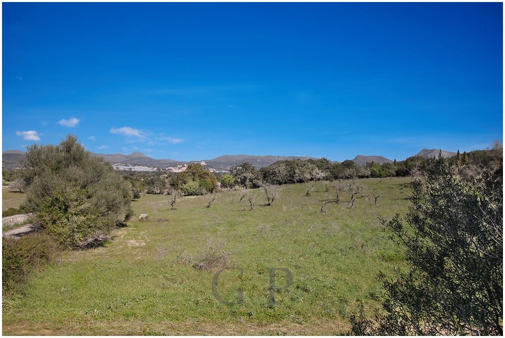 Teren niezagospodarowany na sprzedaż w Arta - 825 000 € (Ref: 9649834)