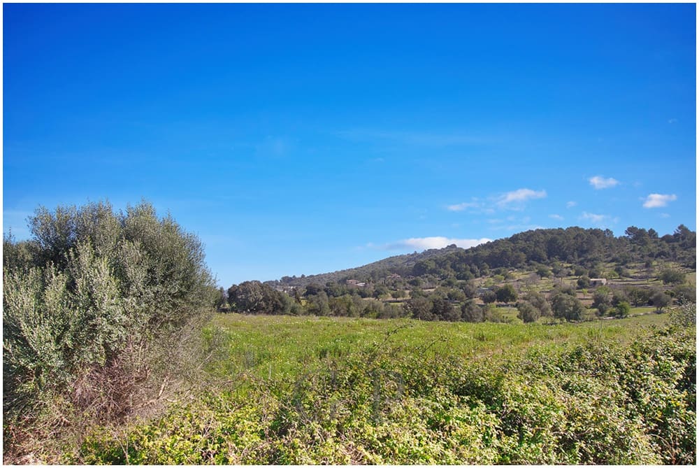 Teren niezagospodarowany na sprzedaż w Arta - 825 000 € (Ref: 9649834)