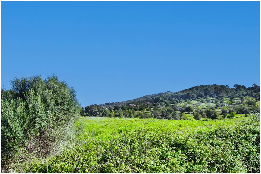 Teren niezagospodarowany na sprzedaż w Arta - 825 000 € (Ref: 9649834)