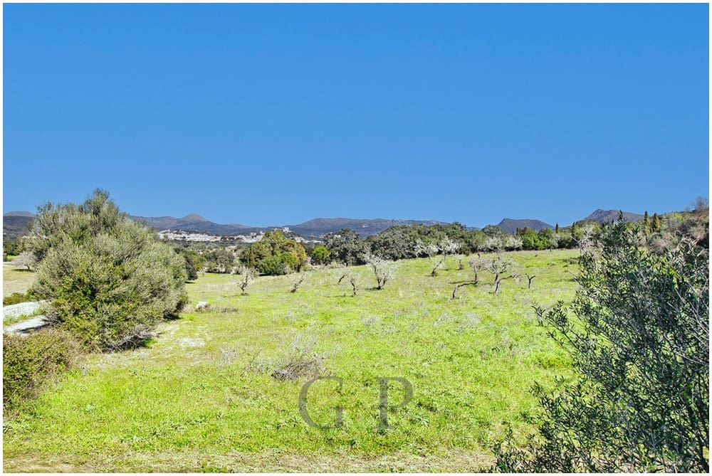 Teren niezagospodarowany na sprzedaż w Arta - 825 000 € (Ref: 9649834)