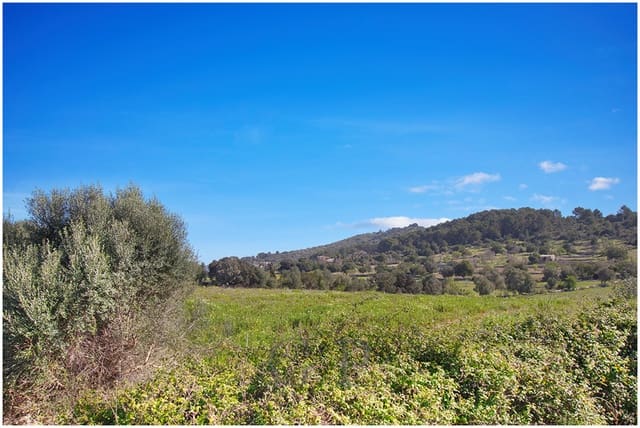 Teren niezagospodarowany na sprzedaż w Artà - 825 000 € (Ref: 9649834)