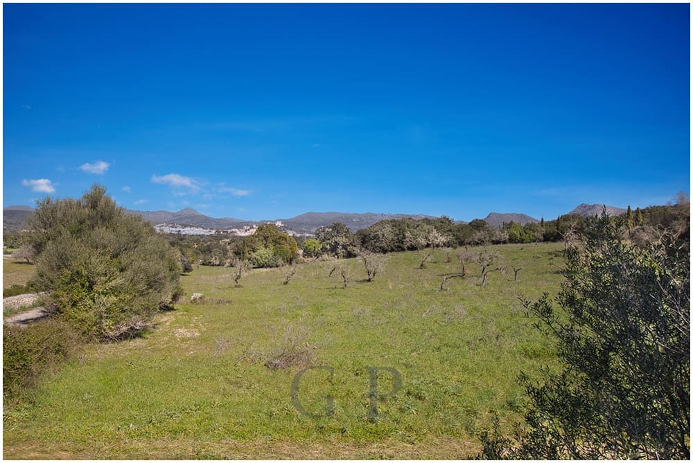 Teren niezagospodarowany na sprzedaż w Arta - 825 000 € (Ref: 9649834)