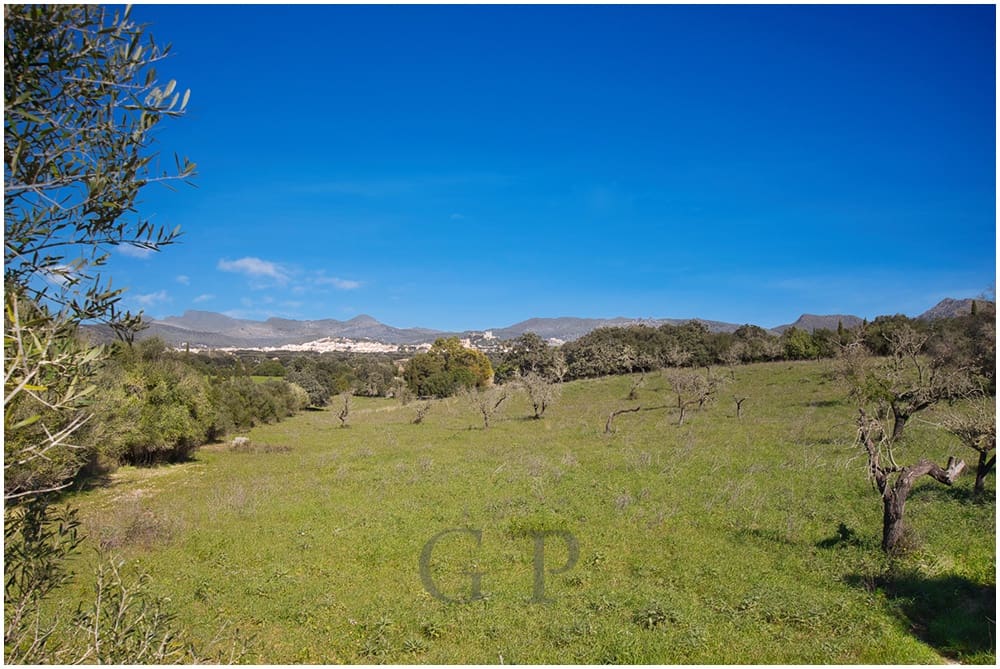 Teren niezagospodarowany na sprzedaż w Arta - 825 000 € (Ref: 9649834)