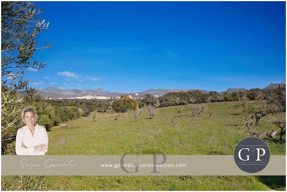 Undeveloped Land for sale in Arta - € 825,000 (Ref: 9649834)