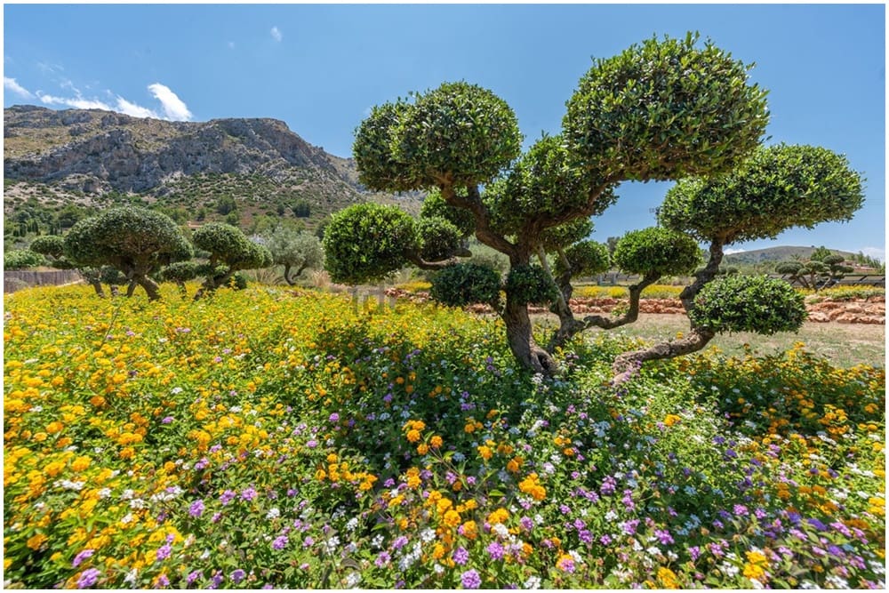 5 makuuhuone Maalaistalo myytävänä paikassa Colonia de Sant Pere / Colonia de San Pedro mukana uima-altaan - 4 900 000 € (Ref: 9756689)