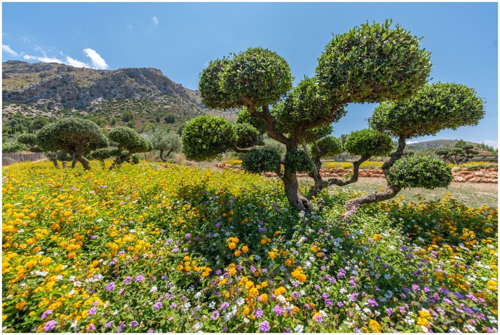 5 makuuhuone Maalaistalo myytävänä paikassa Colonia de Sant Pere / Colonia de San Pedro mukana uima-altaan - 4 900 000 € (Ref: 9756689)