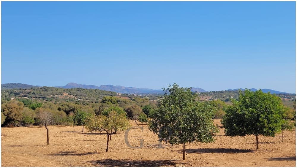 Grunde uden byggetilladelser til salg i Manacor - € 390.000 (Ref: 9853027)
