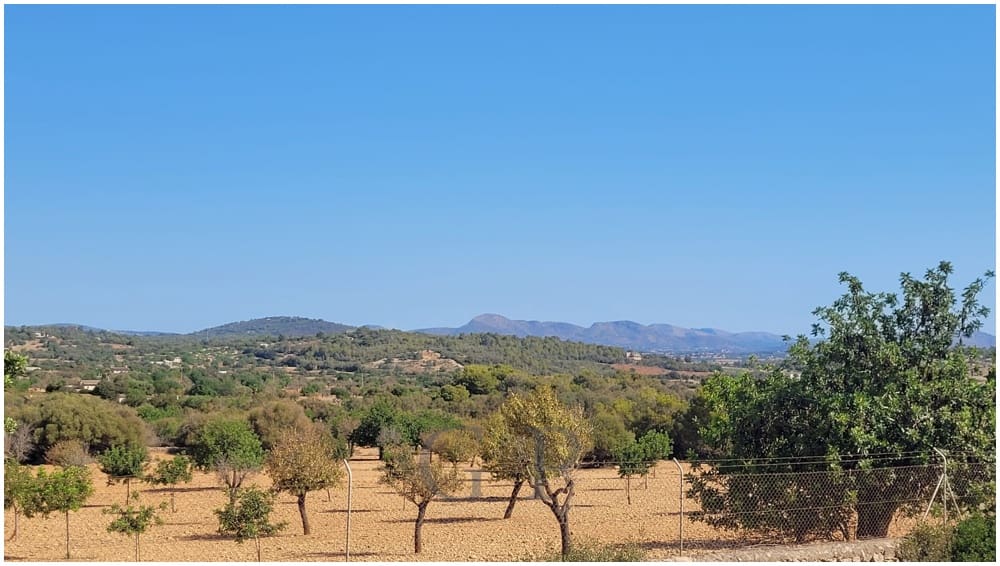 Grunde uden byggetilladelser til salg i Manacor - € 390.000 (Ref: 9853027)