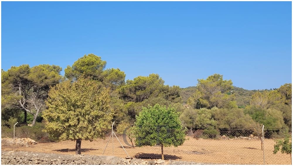 Grunde uden byggetilladelser til salg i Manacor - € 390.000 (Ref: 9853027)