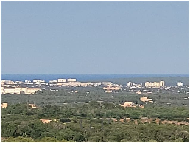 Mark till salu i Manacor - 650 000 € (Ref: 9865527)