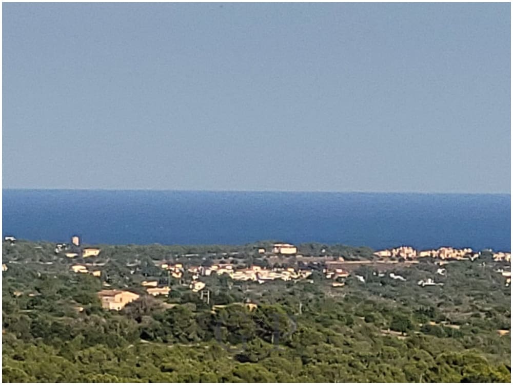 Mark till salu i Manacor - 650 000 € (Ref: 9865527)