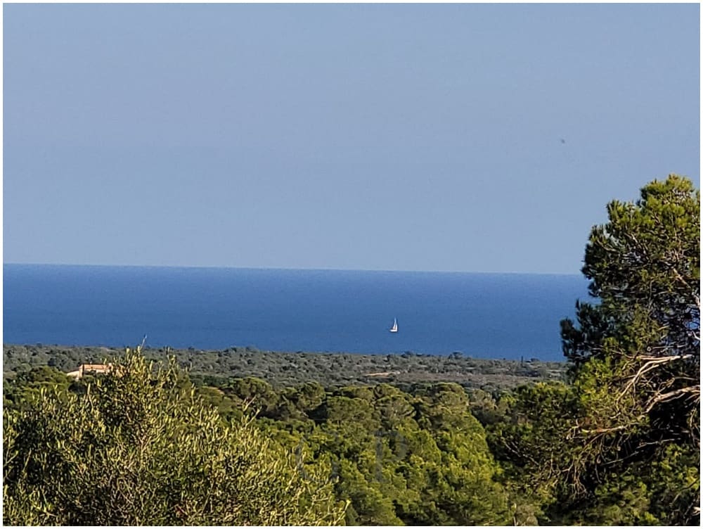 Mark till salu i Manacor - 650 000 € (Ref: 9865527)