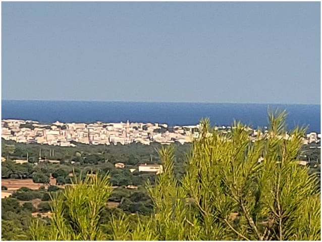 Mark till salu i Manacor - 650 000 € (Ref: 9865527)