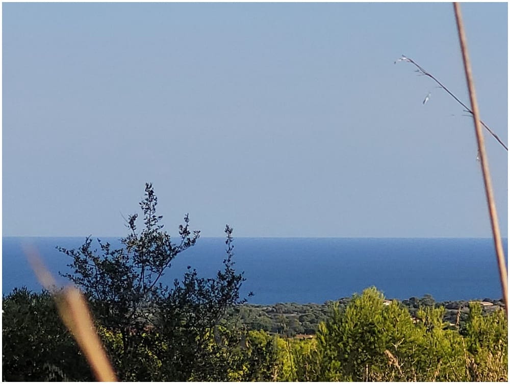 Mark till salu i Manacor - 650 000 € (Ref: 9865527)