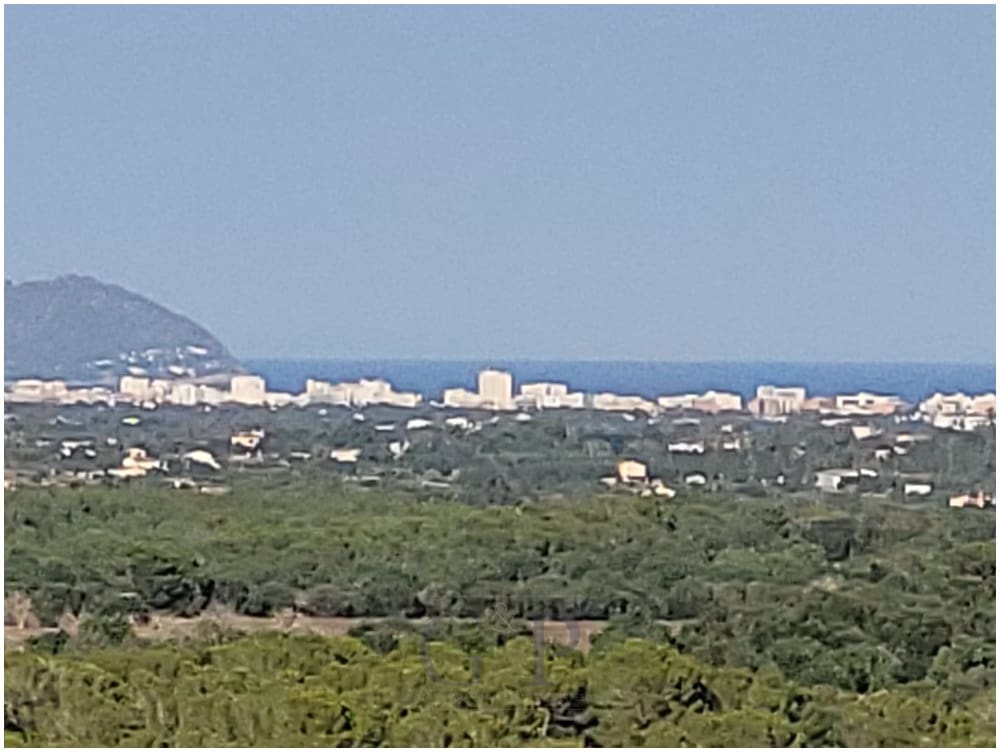 Mark till salu i Manacor - 650 000 € (Ref: 9865527)