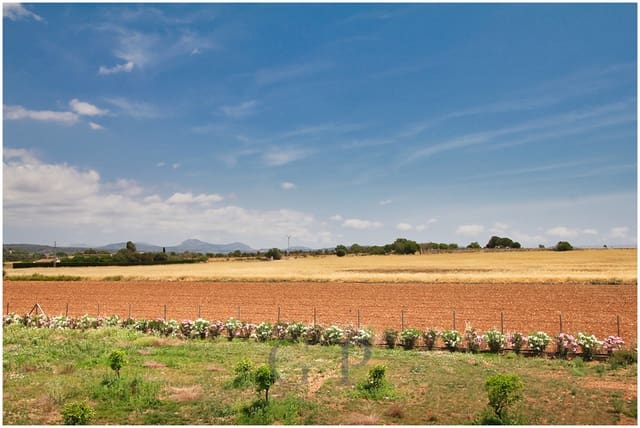 5 camera da letto Finca/Casa di Campagna in vendita in Vilafranca de Bonany con piscina - 2.250.000 € (Rif: 9879879)