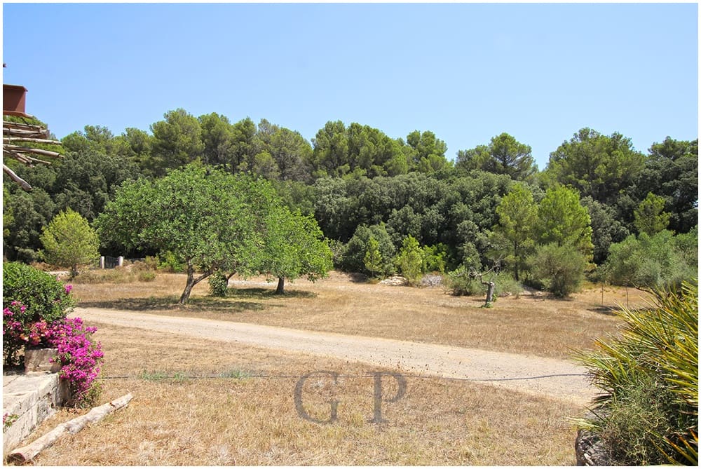 6 soveværelse Finca/Landehus til salg i Arta med swimmingpool - € 2.200.000 (Ref: 9891217)