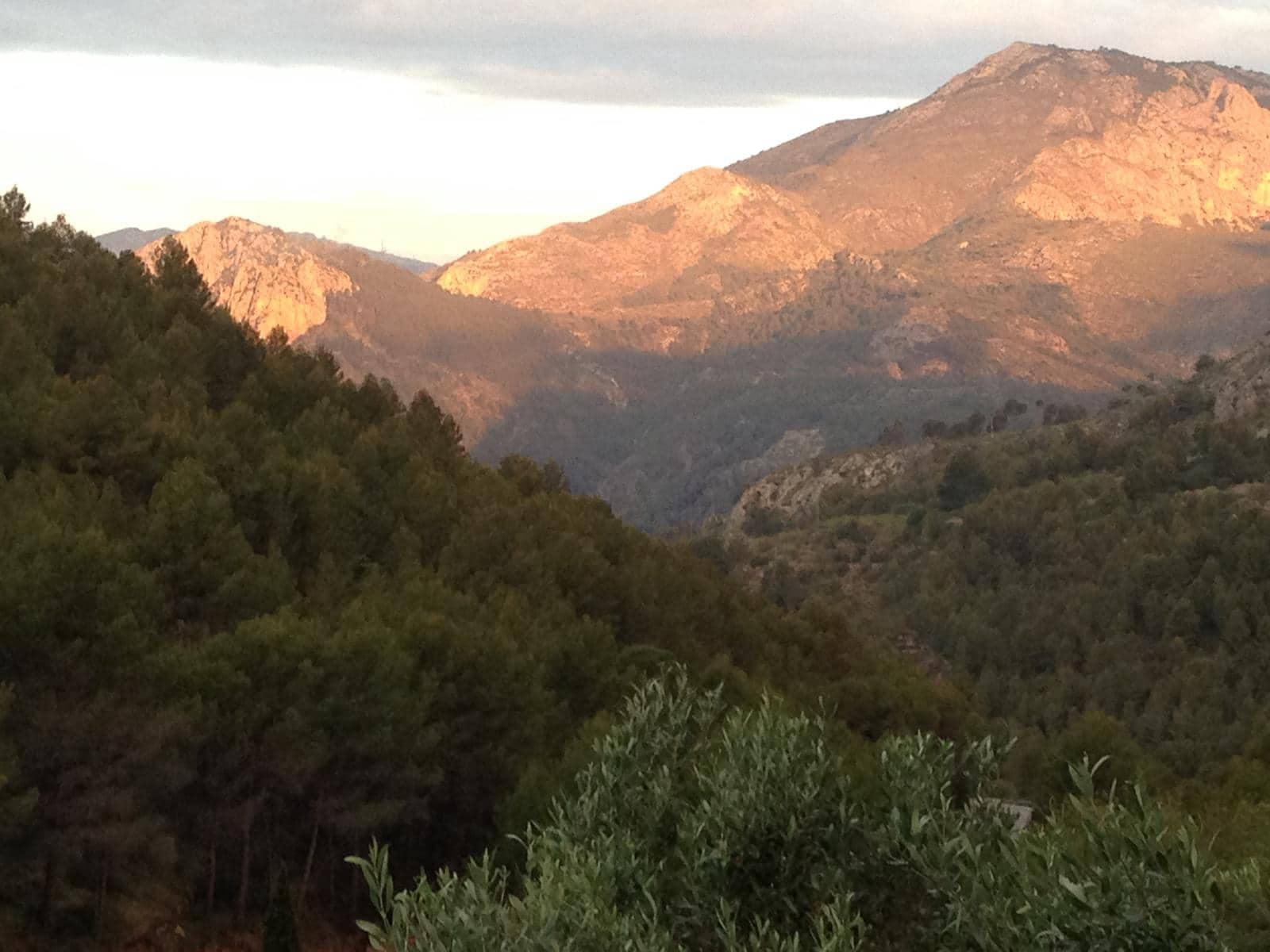 Chalet de 5 habitaciones en Jalón / Xaló en venta con piscina - 1.600.000 € (Ref: 8859874)