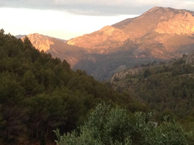 Chalet de 5 habitaciones en Jalón / Xaló en venta con piscina - 1.600.000 € (Ref: 8859874)