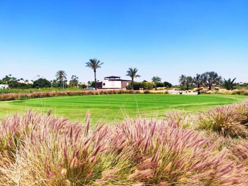 3 bedroom Villa for sale in Roda with pool - € 799,000 (Ref: 8936616)