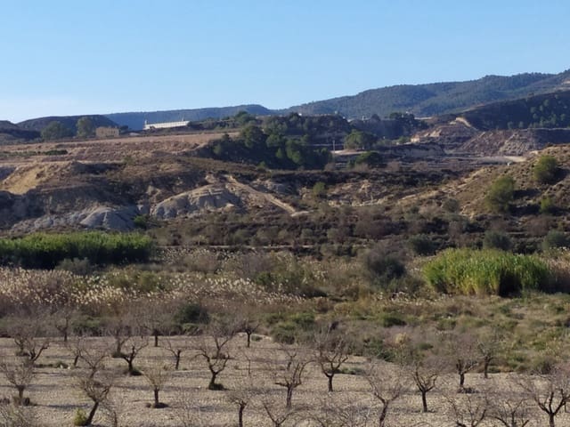 1 bedroom Finca/Country House for sale in San Miguel de Salinas - € 157,500 (Ref: 9136891)