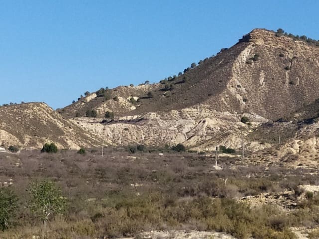 1 bedroom Finca/Country House for sale in San Miguel de Salinas - € 157,500 (Ref: 9136891)