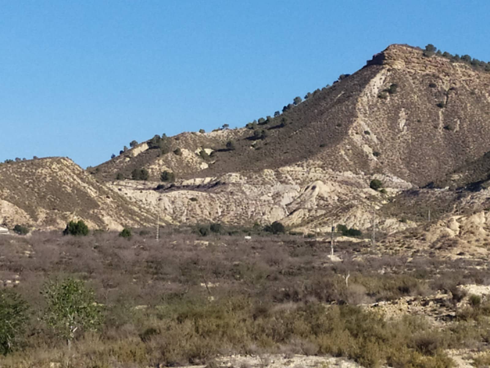 Finca/Casa Rural de 1 habitación en Orihuela en venta - 150.000 € (Ref: 9136891)