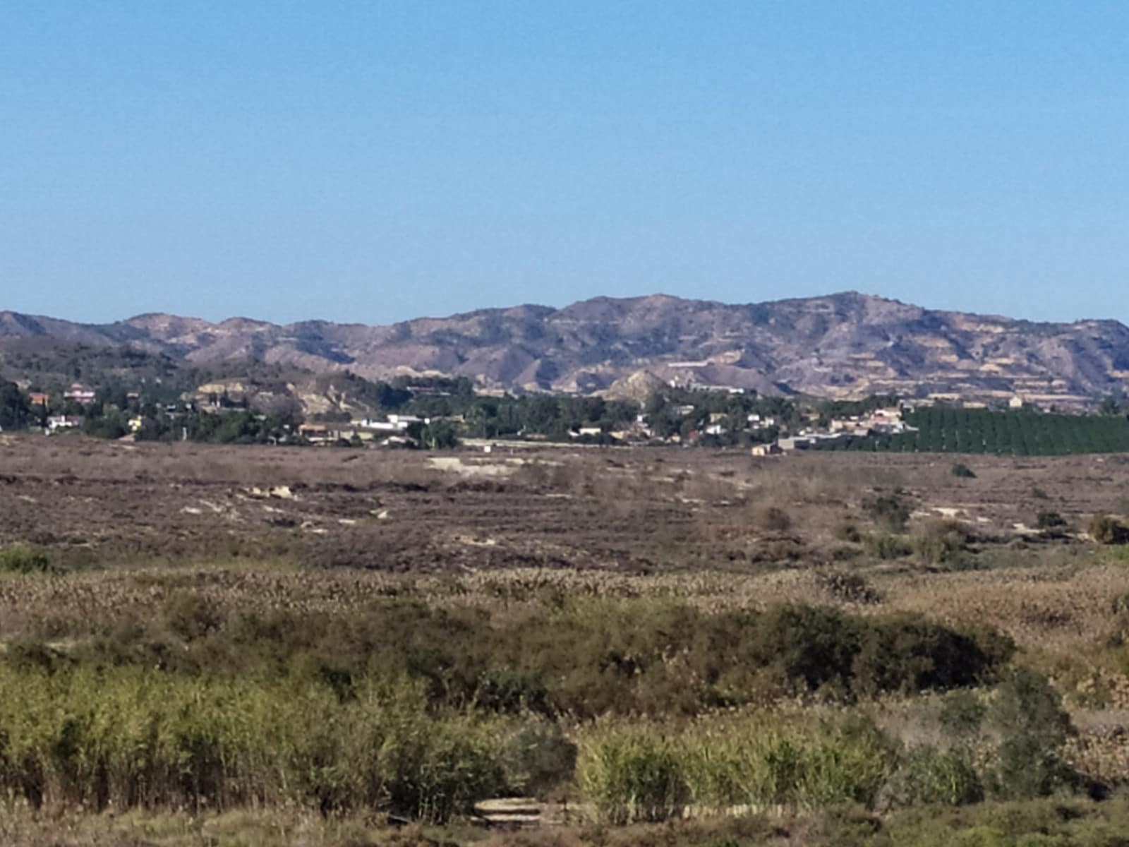 Finca/Casa Rural de 1 habitación en Orihuela en venta - 150.000 € (Ref: 9136891)