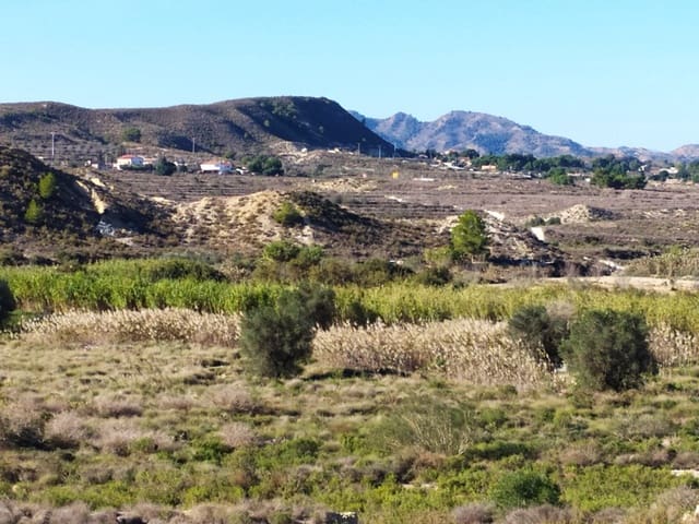 1 Zimmer Finca/Landgut zu verkaufen in Orihuela - 150.000 € (Ref: 9136891)