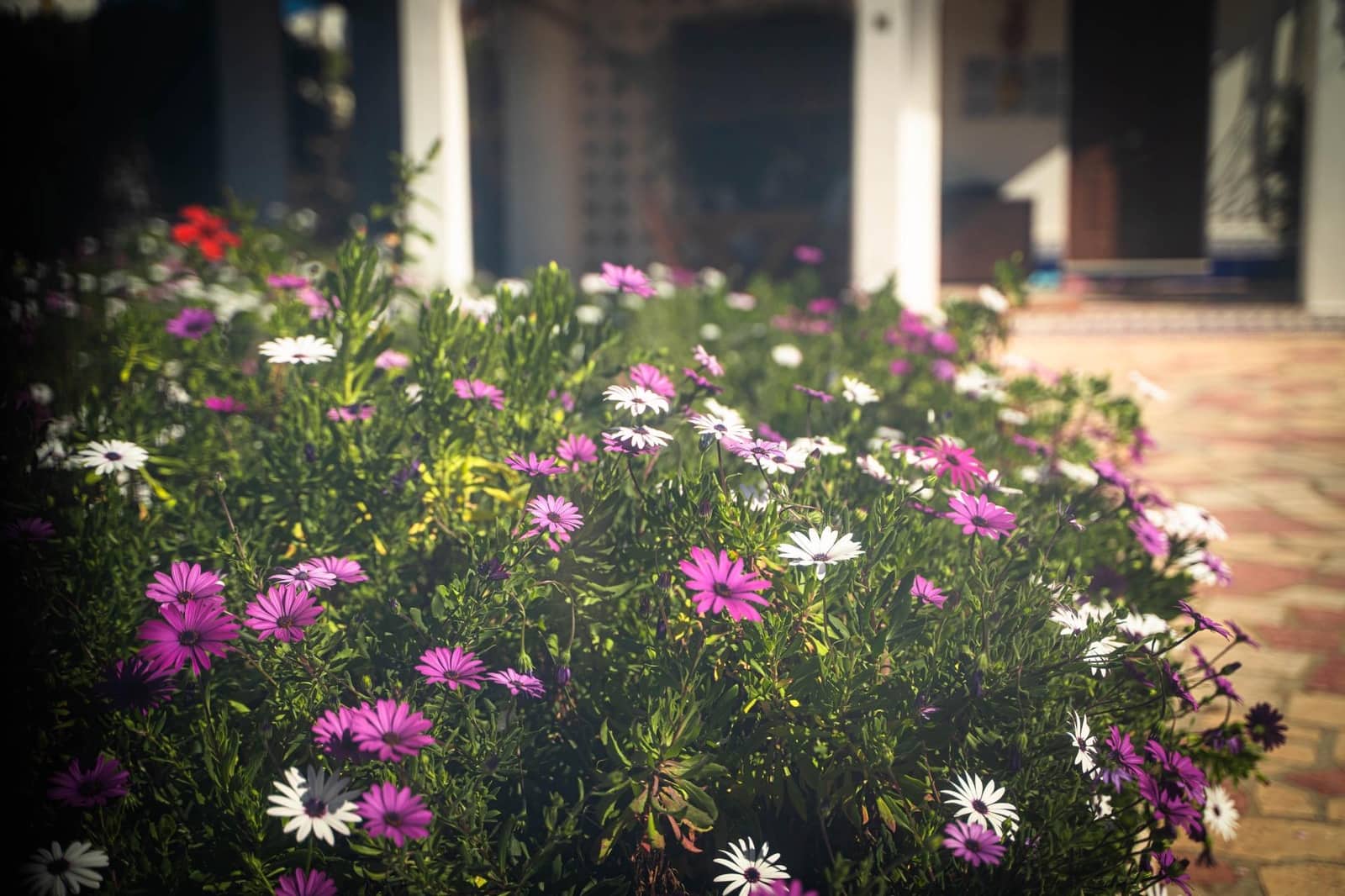 3 bedroom Semi-detached Villa for sale in Alfaz del Pi / L'Alfas del Pi with pool - € 550,000 (Ref: 9715630)