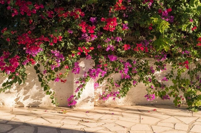 3 quarto Moradia Geminada para venda em Alfaz del Pi / L'Alfàs del Pi com piscina - 550 000 € (Ref: 9715630)