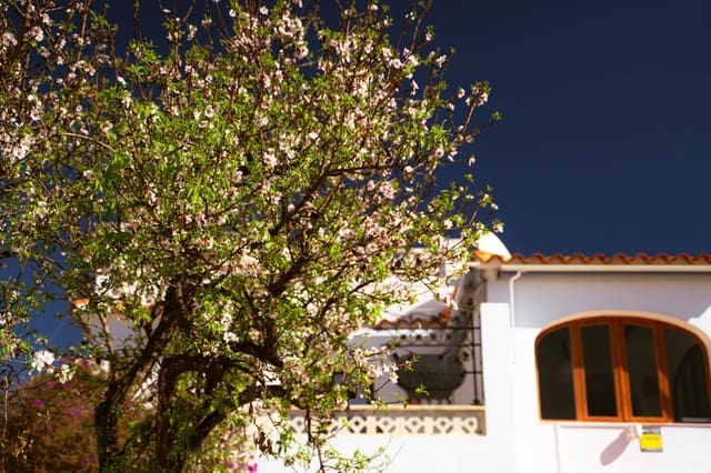 3 Zimmer Doppelhaus zu verkaufen in Alfaz del Pi / L'Alfàs del Pi mit Pool - 550.000 € (Ref: 9715630)