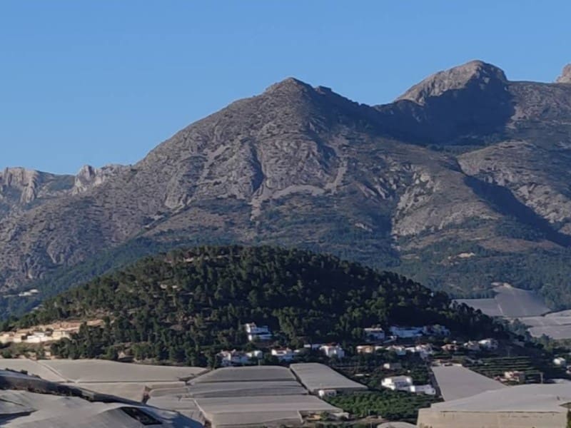 Byggegrund til salg i Callosa d'En Sarria - € 159.000 (Ref: 9975718)