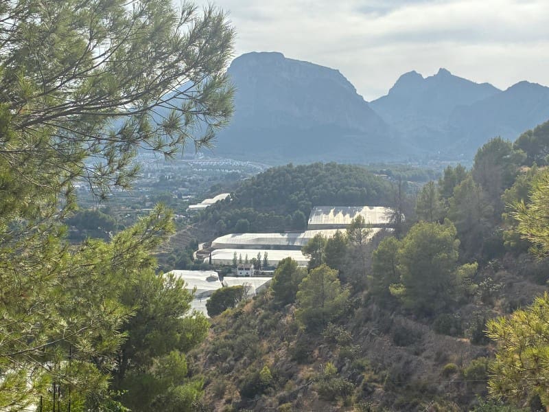 Bouwgrond te koop in Callosa d'En Sarria - € 159.000 (Ref: 9975718)