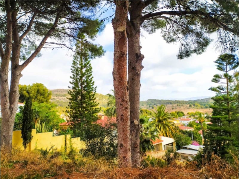 Ubebygd land til salgs i Alfaz del Pi / L'Alfas del Pi - € 210 000 (Ref: 9975771)