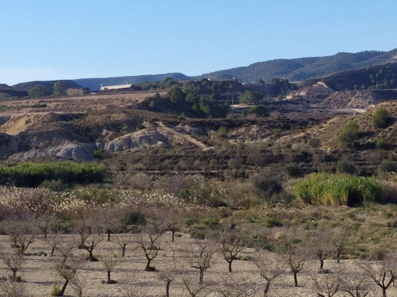 1 sovrum Finca/Hus på landet till salu i San Miguel de Salinas - 150 000 € (Ref: 9985620)